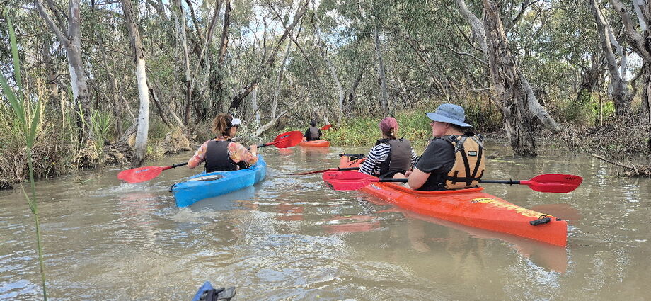 Macquarie Mashes tour in early spring 2025 paddling in the forest