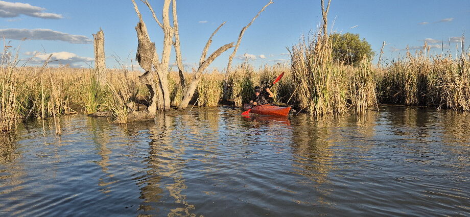 Macquarie Mashes tour in early spring 2025 exploring channels in the reeds