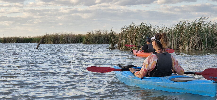 Macquarie Mashes tour in early spring 2025