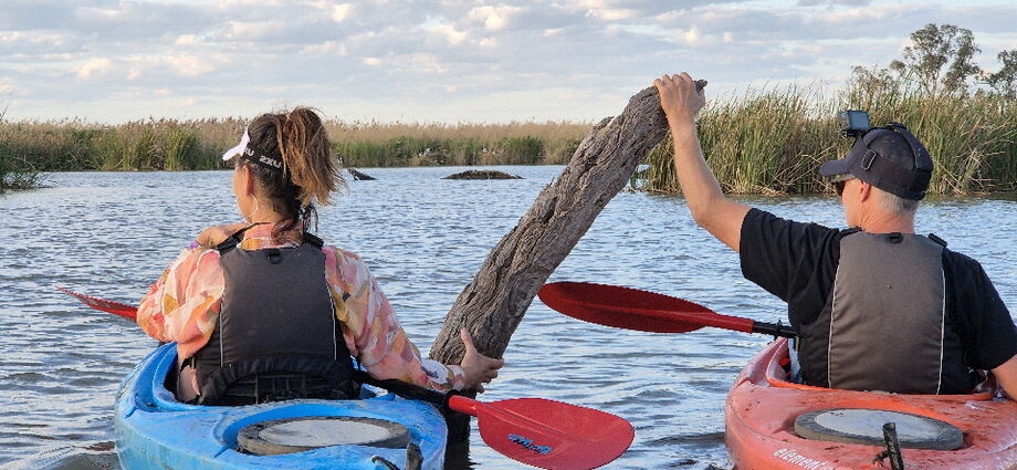 Macquarie Mashes tour in early spring 2025 magpie geese