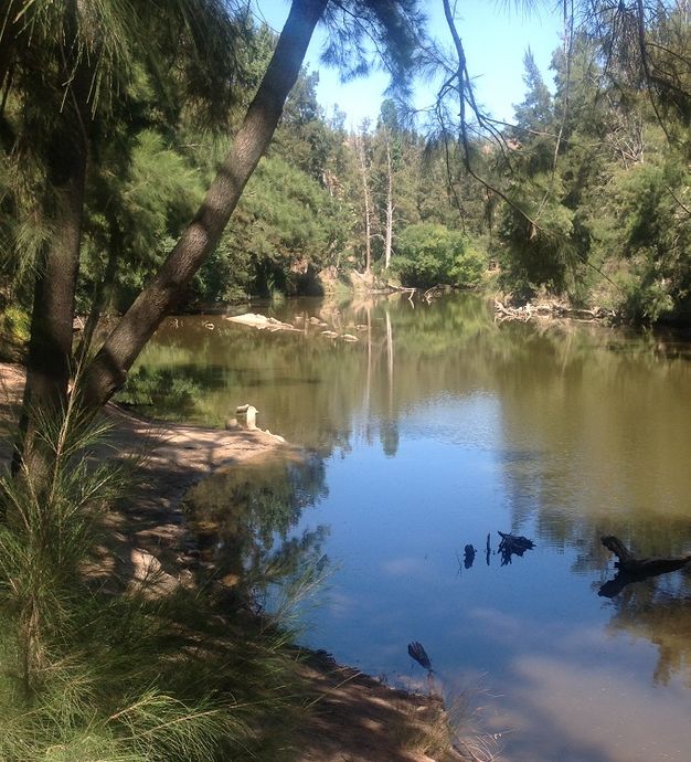 Camping site Down stream of Abercrombie Bridge 2