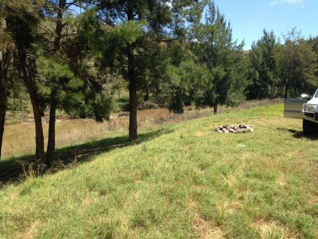 Bruinbun Macquarie River