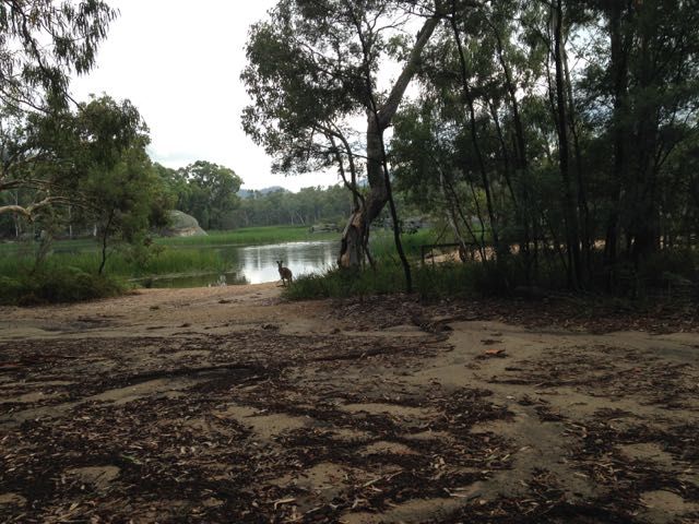 Wollomi National Park 