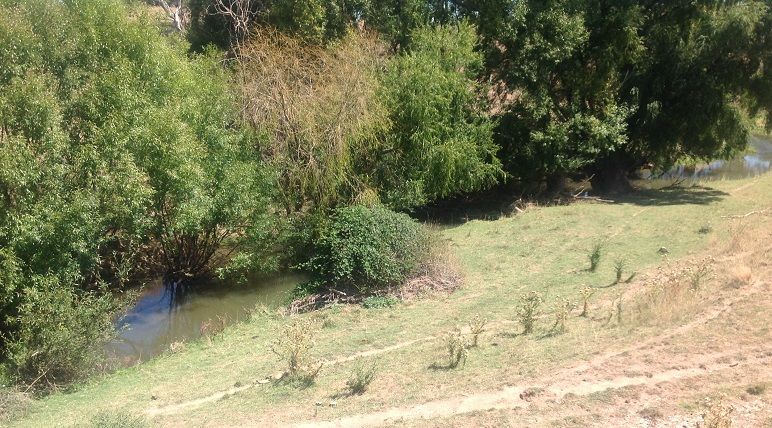 Ashburton Bridge - Belubula river 