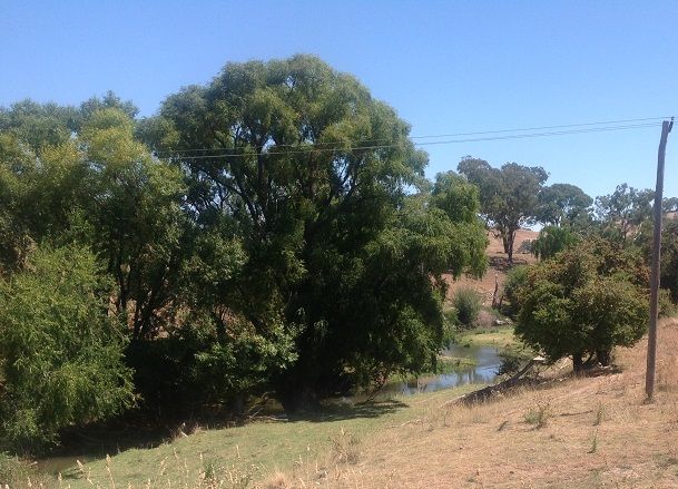 Belubala river- Below Ashburn Bridge