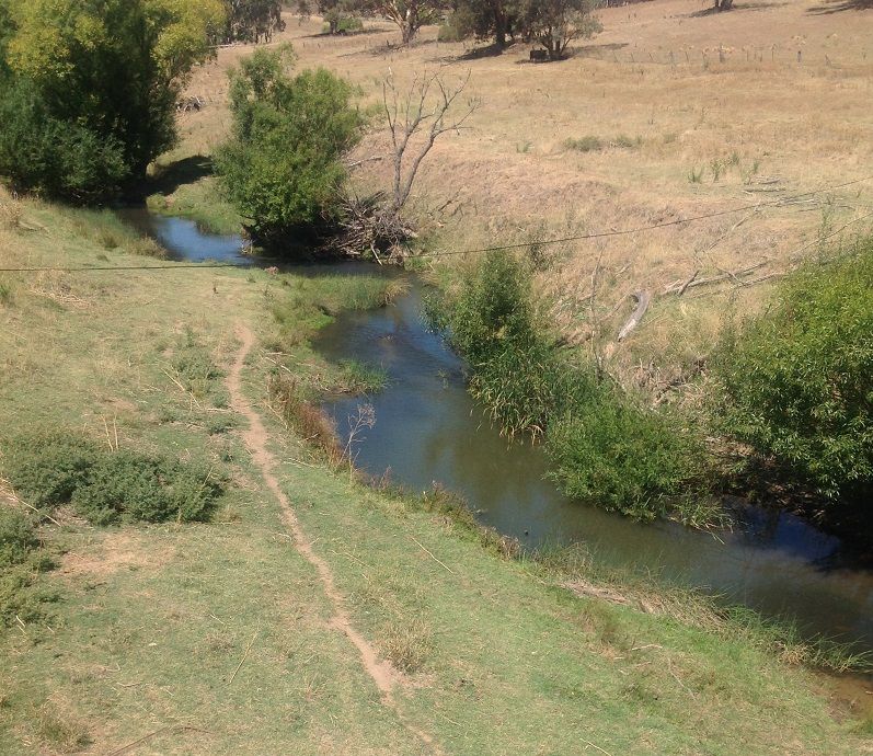 Belabula River Upstream of Ashburn bridge