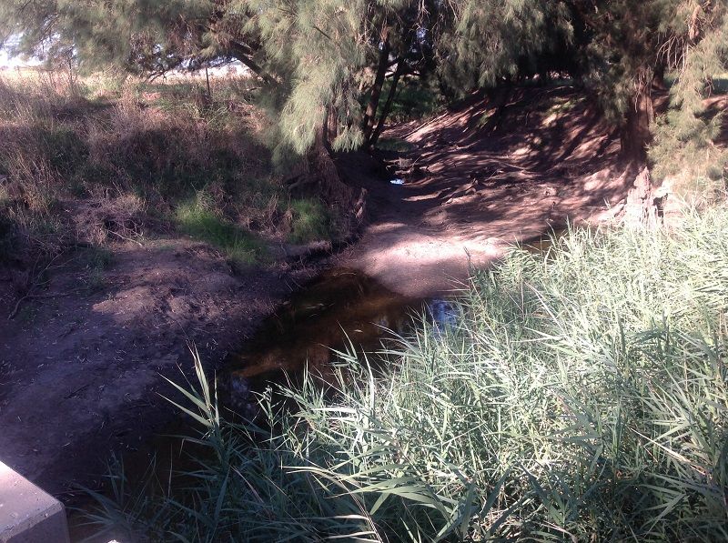 Cullanes Bridge - Belubula river - upstream