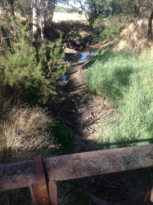 Rivers rd bridge over Belubula river -upstream Rivers rd bridge over Belubula river -upstream