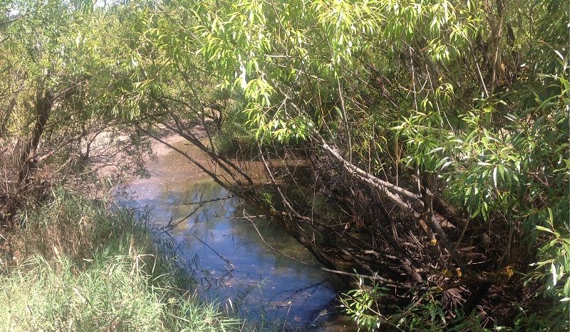 Belubula river -Hobby yards rd. Blayney