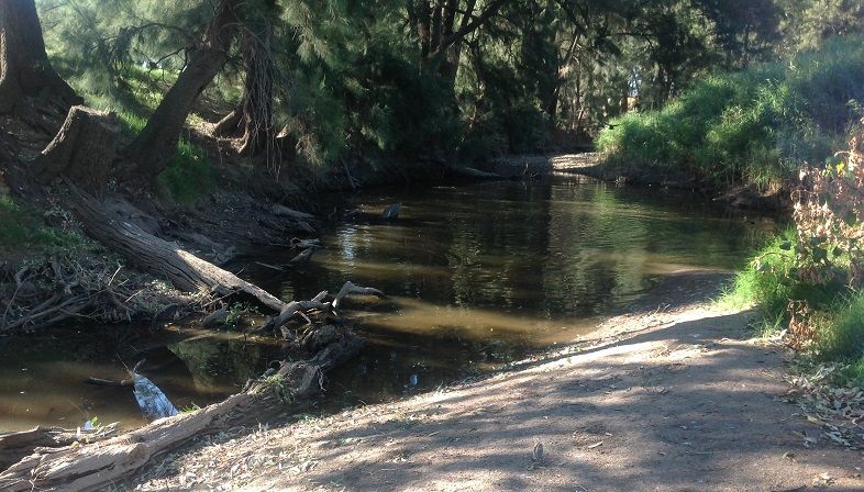 Cullanes Bridge - Belubula river - Canowindra