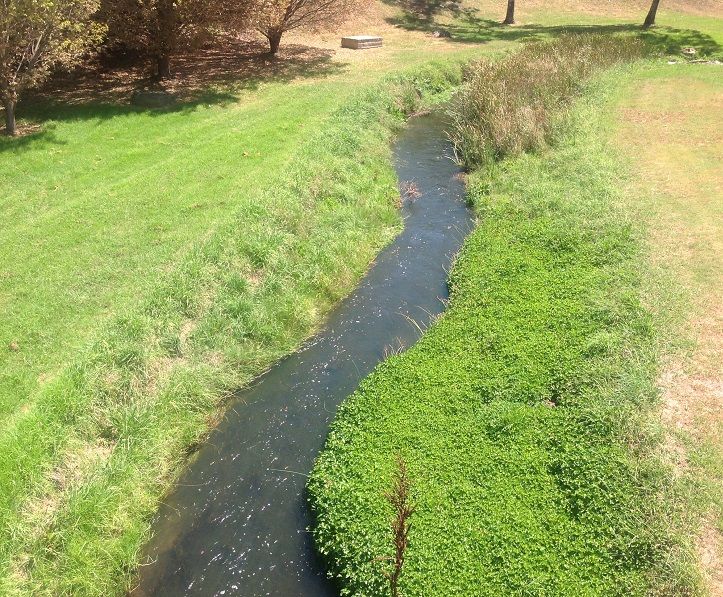 Belabula River  Carcoar below village bridge park