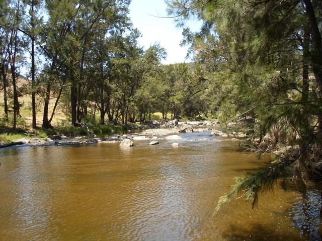 Belubula, Needles gauge upstream