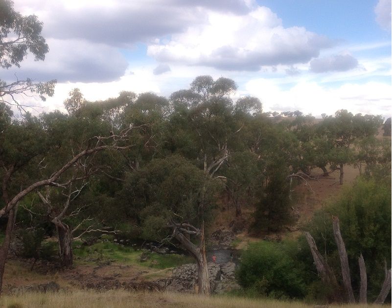 Bakers shaft reserve camping area- Belubula river- downstream