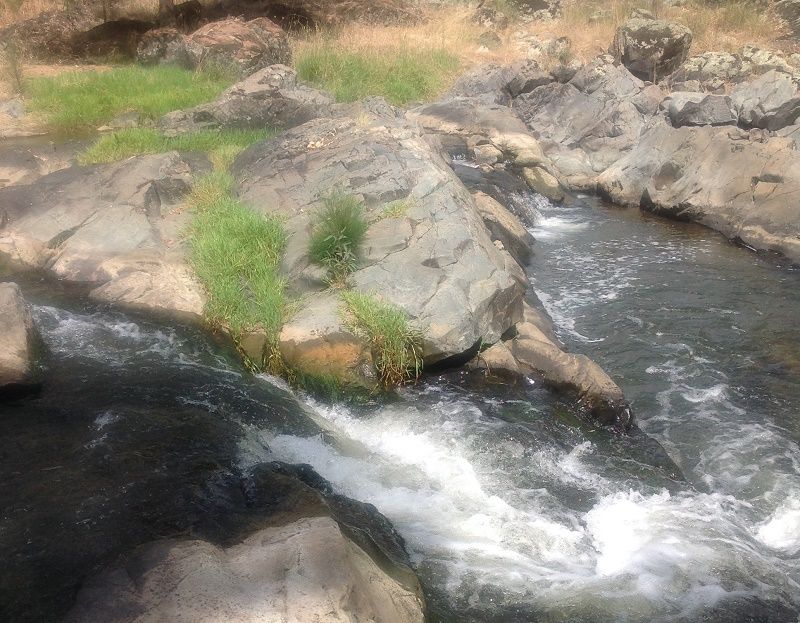 Bakers shaft reserve camping area- Belubula river- pond exit