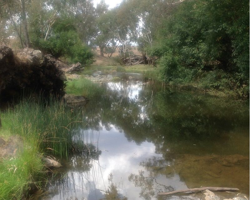 Bakers shaft reserve camping area- Belubula river-reservepond