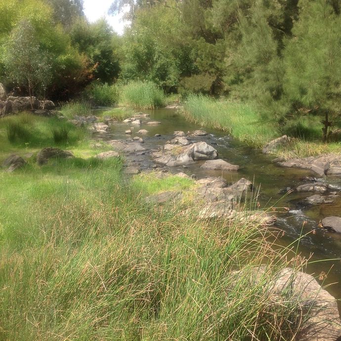 Bakers shaft reserve camping area- Belubula river- above reserve