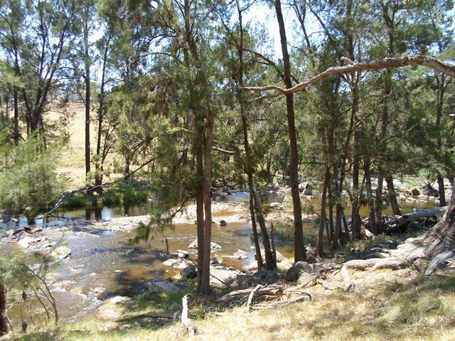 Belubula, Needles gauge site