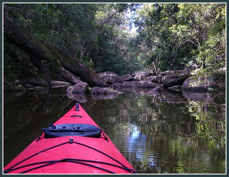 River Oak Crossing Photo