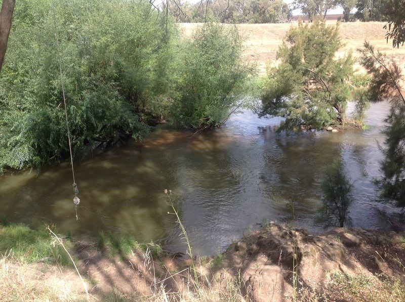 Access to Lachlan river from Boorowa rd Cowra