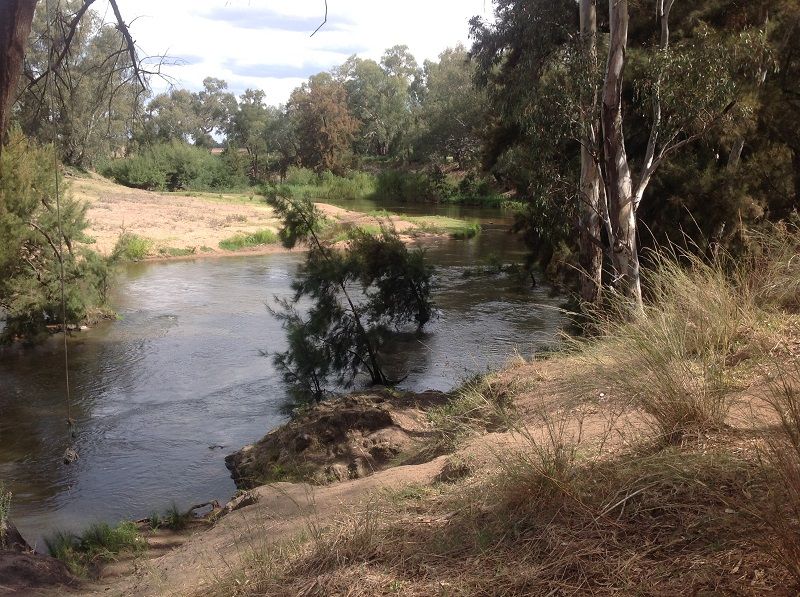 Access to Lachlan river from Boorowa rd Cowra