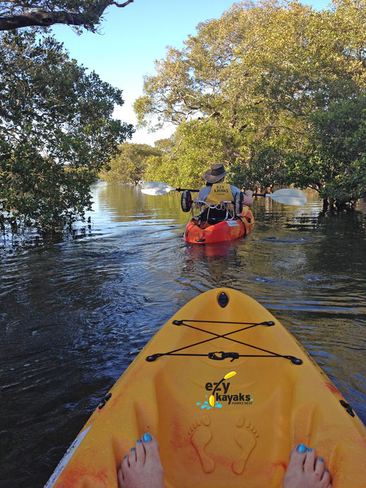 Ezy Kayaks guided kayak tour on Myall River