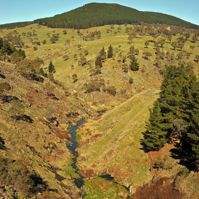 Carcoar Dam on The Belubula -wall downstream Carcoar Dam on The Belubula