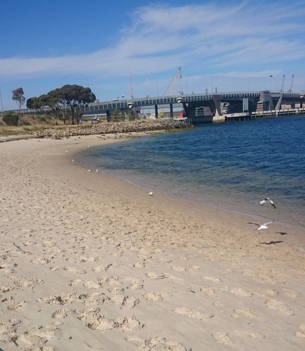 Explore the Inner Port from Cruickshank's Beach Sorry, the photo didn't load properly on your system