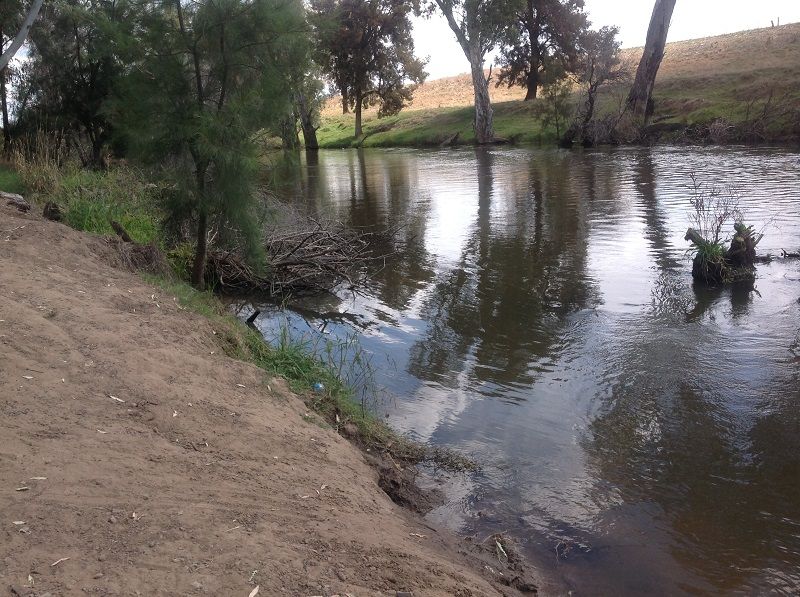 Cudgelo ln park on the Lachlan river entry exit point