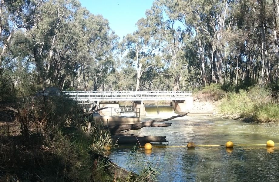 Sorry, the photo didn't load properly on your system