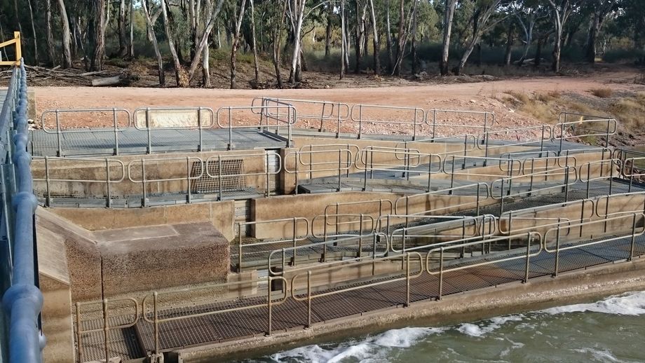 Sorry, the photo didn't load properly on your system