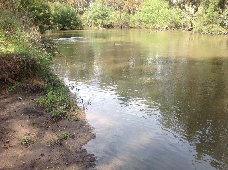 Darbys Falls entry point Lachlan river