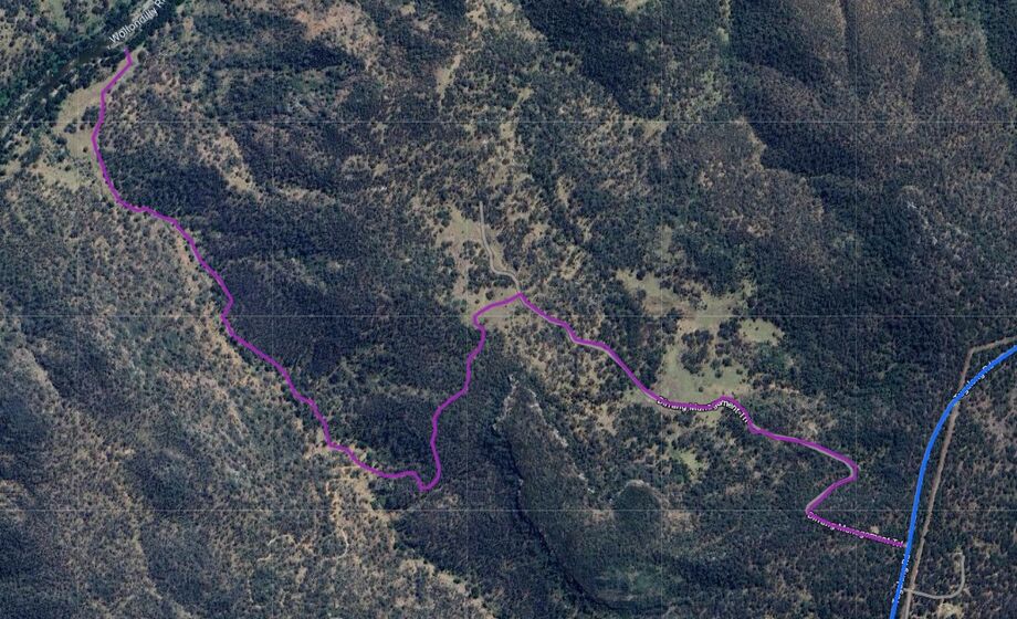 Dirrang Managment Trail
