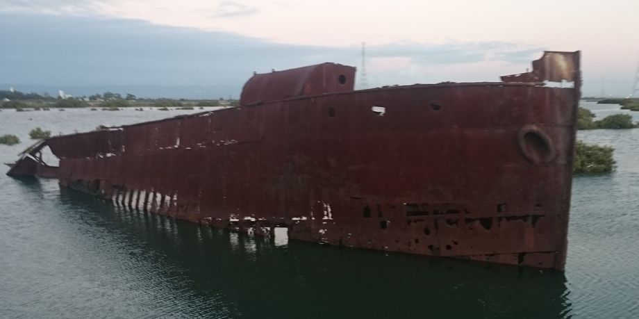 Sorry that this photo didnt load, Excelsior Shipwreck at Mutton Cove
