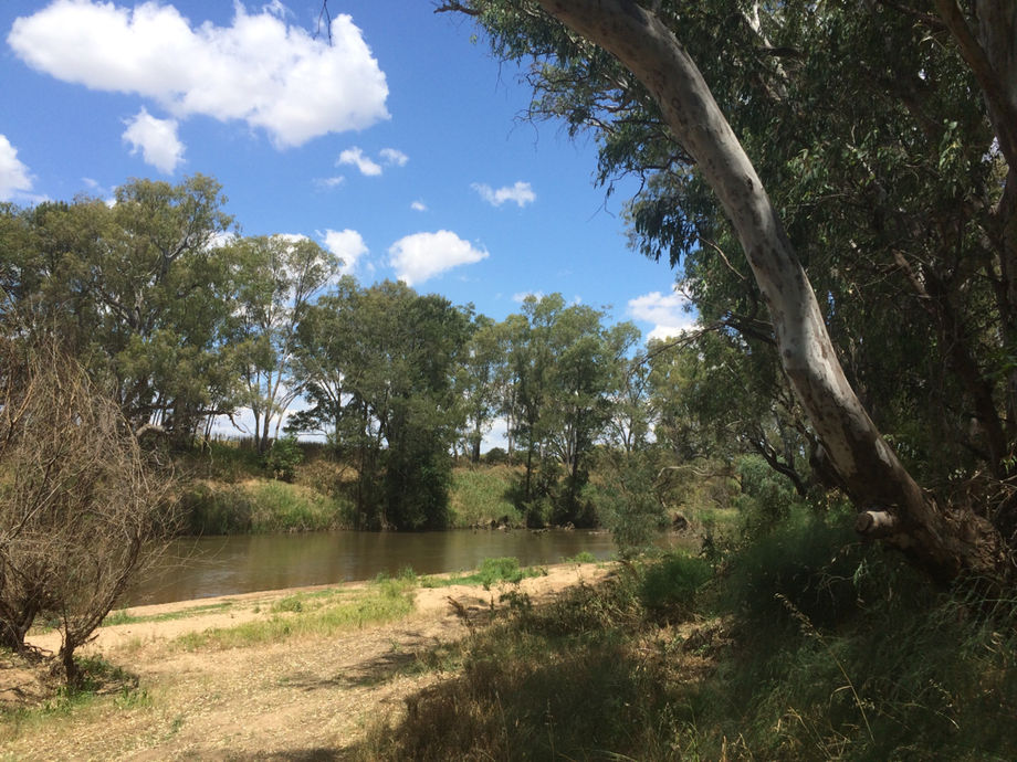 Farley Beach, Lachlan river, below Cowra