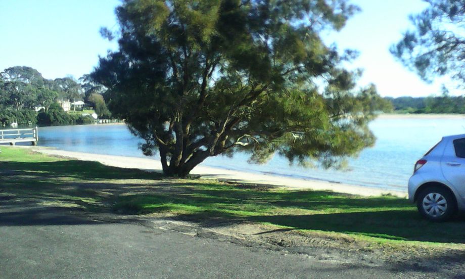 Mossy Point