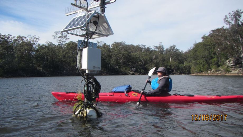 Yarrunga Creek Confluence Marker