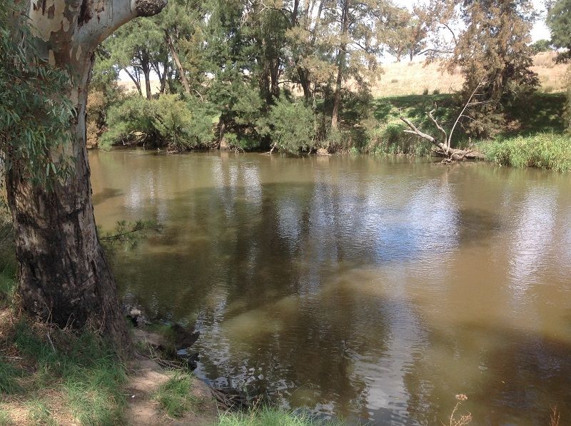 Jukes lane way point on Lachlan River, above Cowra