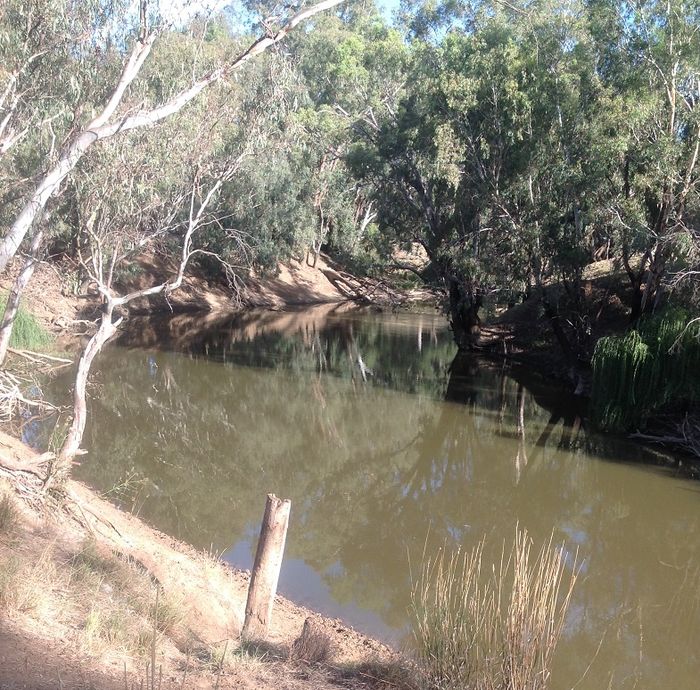 Lachlan river ,12 mile reserve Forbes- upstream