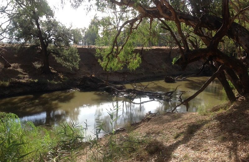 Lachlan river,Forbes,7 Mile reserve-river access Lachlan river,Forbes,7 Mile reserve-river access