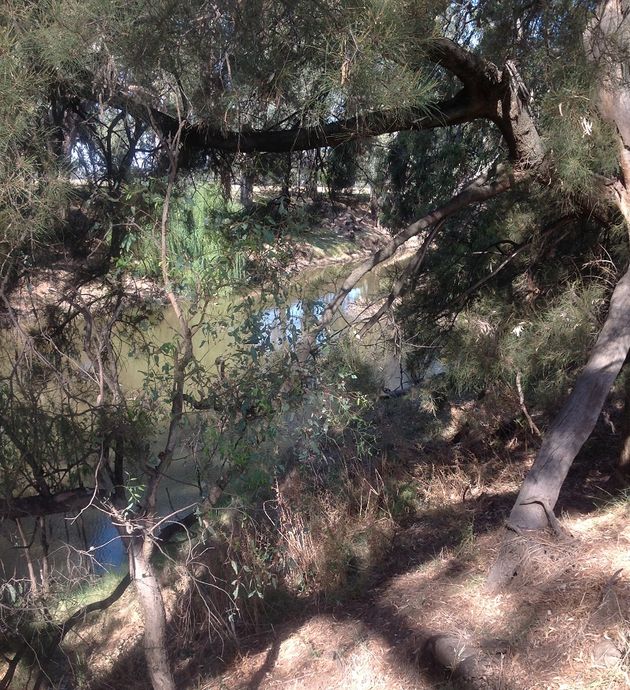 Bandon reserve-Lachlan river-upstream of camp site