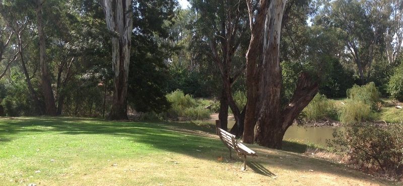 Lachlan River,Forbes ,  River view caravan park