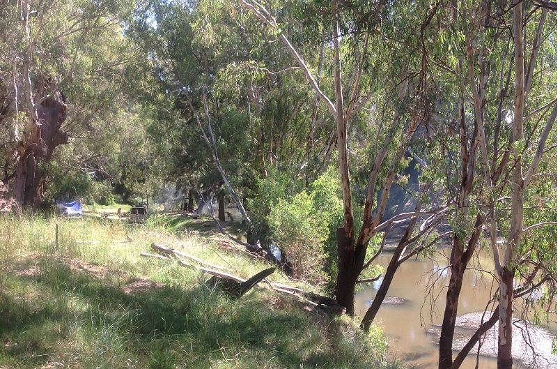 Gray st Gooloogong Camp site, Lachlan River downstream