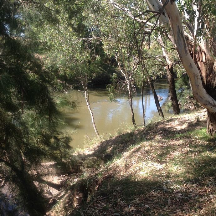 Gooloogong Camping area, Gray st.- Lachlan river
