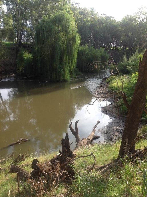 Lachlan River-Katies Crn reserve- down stream
