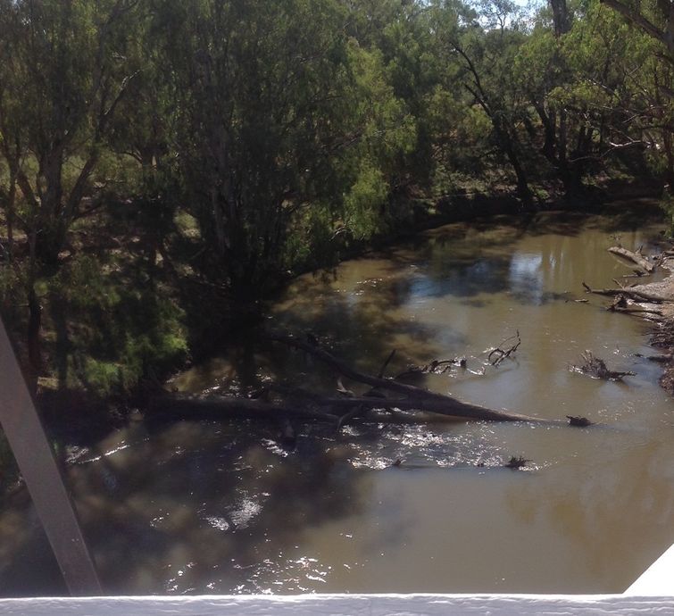 Lachlan river downstream of Paytons Bridge Lachlan river downstream of Paytons Bridge
