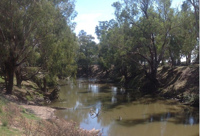 Lachlan river Down stream of Paytons bridge reserve