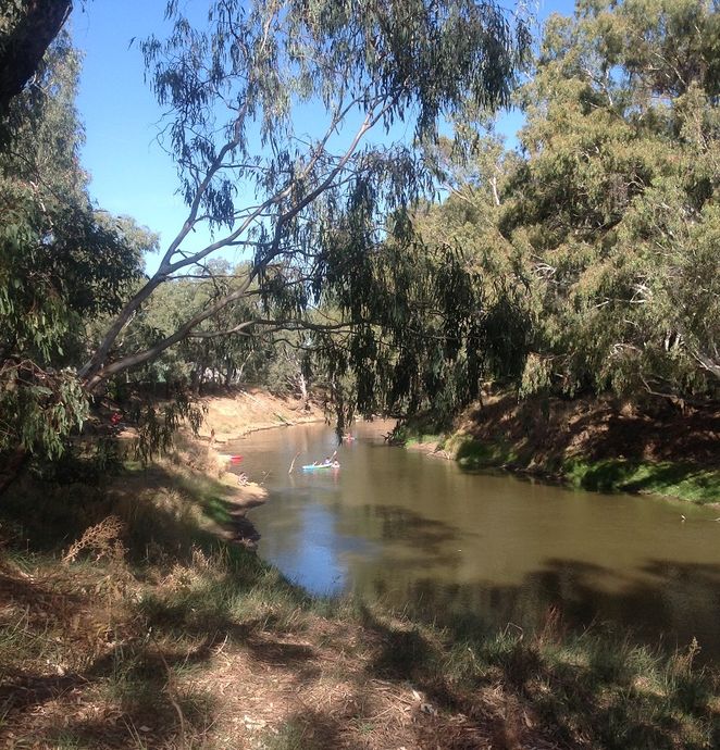 Lachlan river,Forbes, Access point,Torig Park