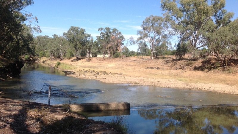 Lachlan River, Condobolin weir, April 2016, Downstream Lachlan River, Condobolin weir, April 2016 , 1.534m