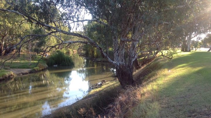 Lachlan river, Condobolin, Memorial park, above bridge