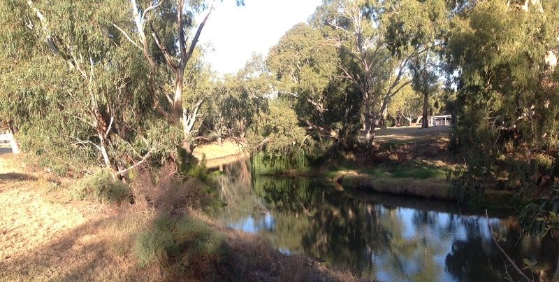 Lachlan River,Condobolin, Memorial park, April 2016 Lachlan River,Condobolin, Memorial park, upstream
